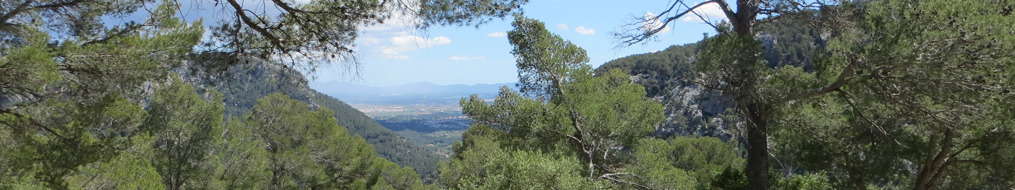 Climate Mallorca